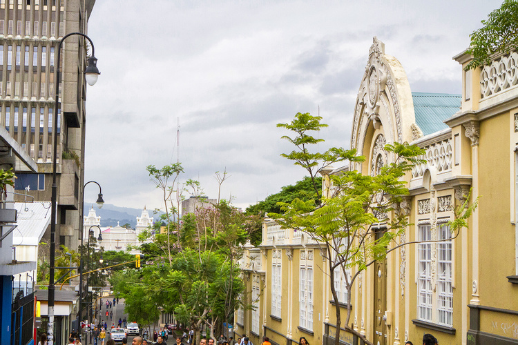 San Jose by Night Food and Culture photo